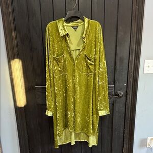Velvet Green Tunic Top